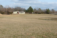 Pasture
