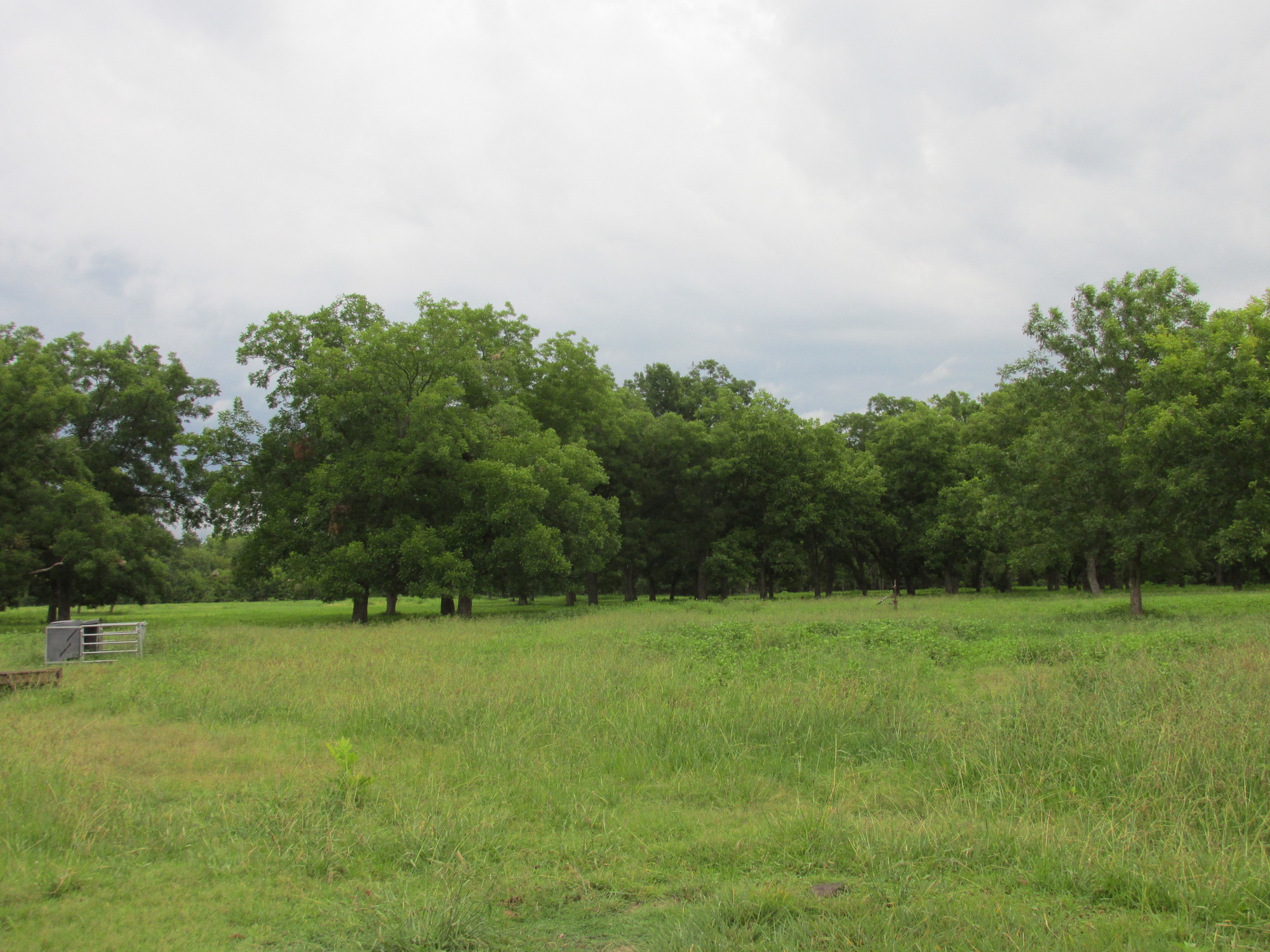 Bristlecone Road 152 AcresSKBJC 659,900.00 for Sale in Henryetta