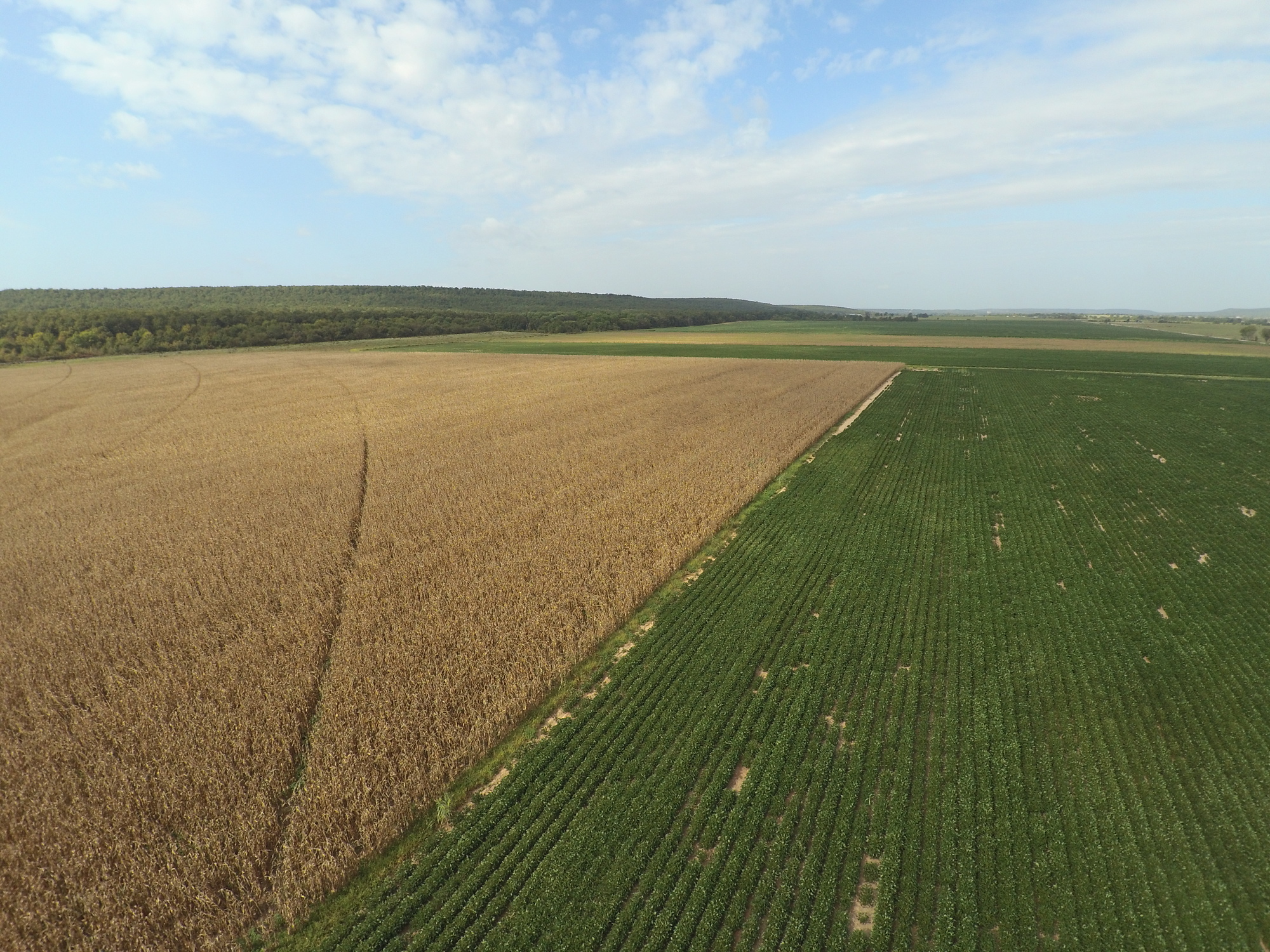 1,000 acres Farm for Sale Pittsburg County, OK Land And Farm