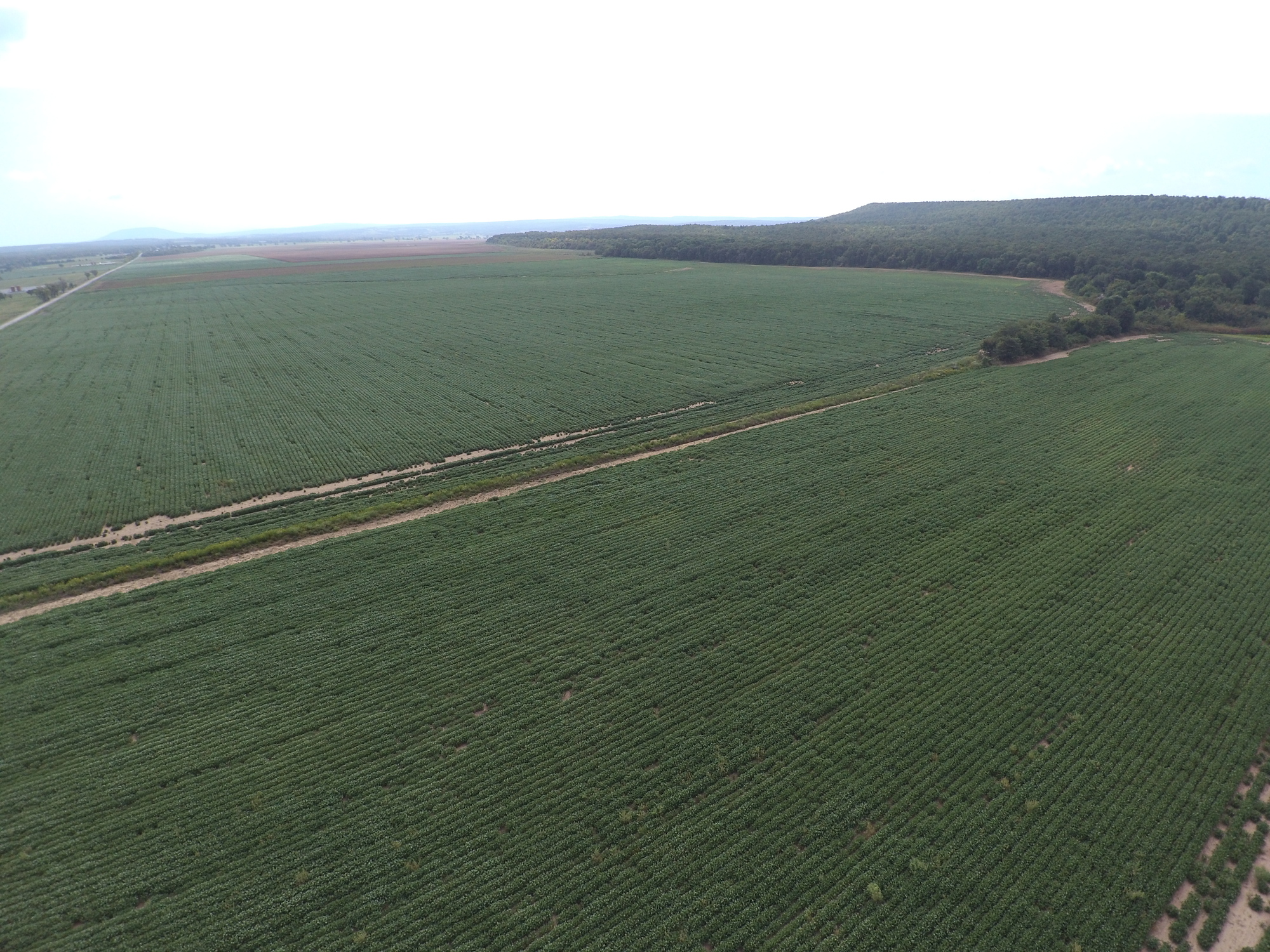 1,000 acres Farm for Sale Pittsburg County, OK Land And Farm