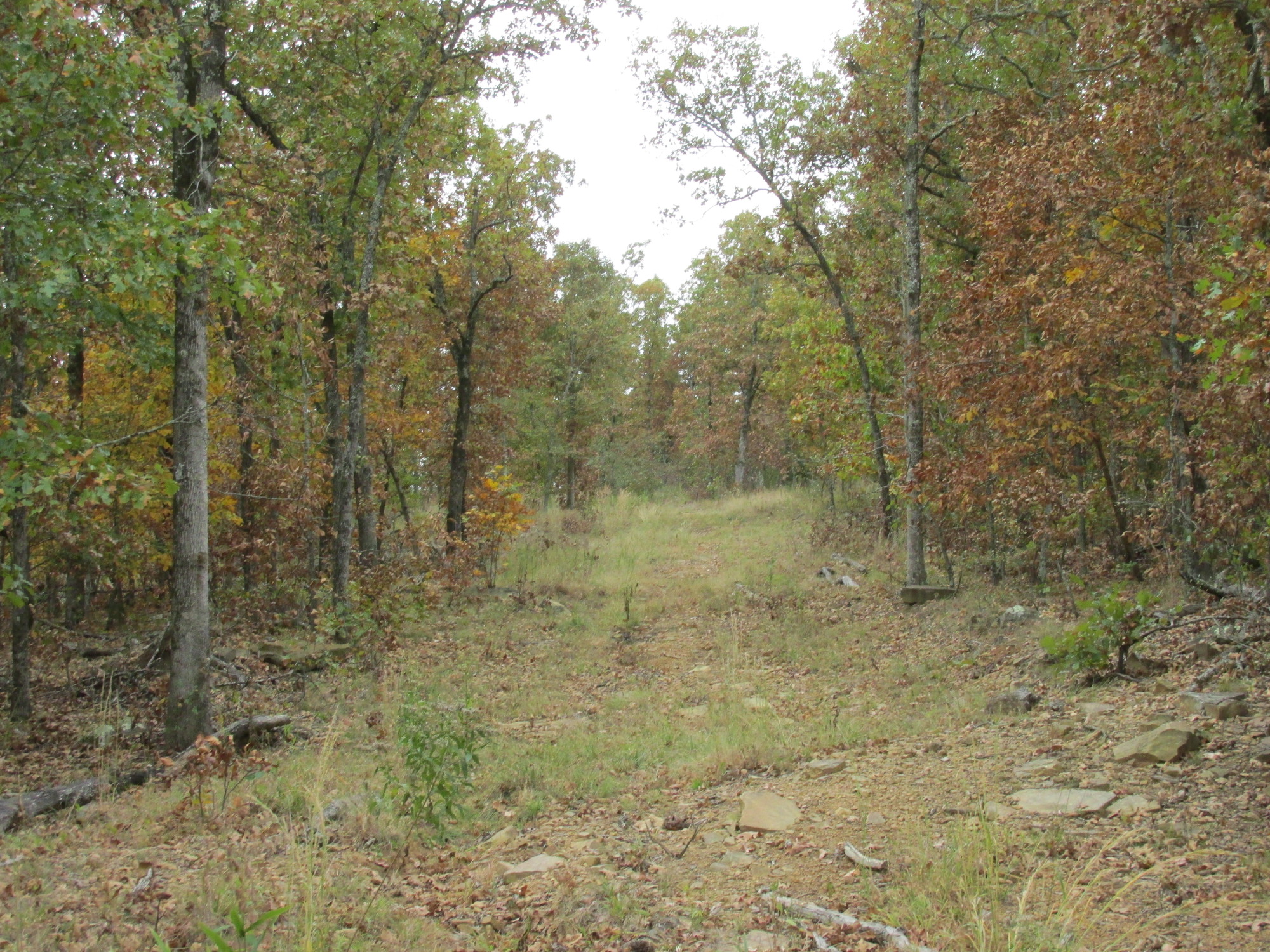 Sportsman's Country Estate 63-rdb/jc