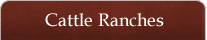 Cattle Ranches