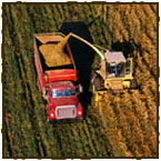 Agribusiness & Farm Land