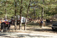 Campsites