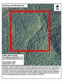 Hunting and Minerals 40 - sb