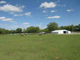 Henryetta Horses, Hunting & Home 77 - sb