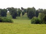 Brushy Creek Production Ranch 990 - rdb