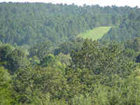 Near Atoka Wildlife Management Area