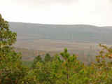 Blue Mountain Timber and Hunting - rb