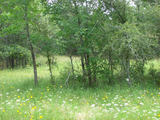 Wildlife Homestead