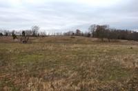 Approximately 80 acres of pasture