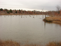 3rd Fishing pond Notice the old tree cover?
