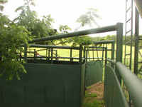 Working Corral/Chute