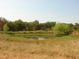 Hwy 59/9 Cattle & Hunting 259 - rwrb