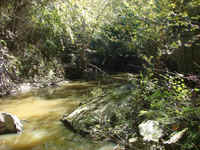 Greasy Creek - Seasonal Pooling