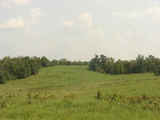 Doaksville Creek Ranch
