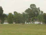 Fighting Seven Ranch