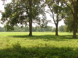 Kiamichi & Red River Ranch