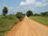Choctaw County Bermuda Ranch