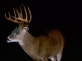 Red River Boone & Crockett Ranch
