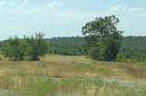 South Ashland 640