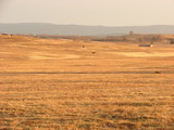 Haskell Co - Horse Mountain Ranch- 1146 - rdb