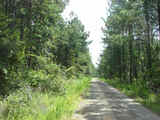 Pushmataha Timber & Hunting Land