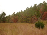 Ashland Area Hunting 40 - rdb