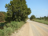 County Road Access