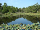 Stuart Hunting & Fishing 108 - rb