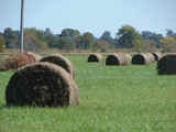 Kiamichi River Farm & Ranch - rdb