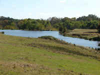 Plentiful Ponds