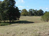 Native, Clover, Rye & Bermuda grasses.