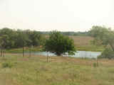 Jefferson Cattle Range
