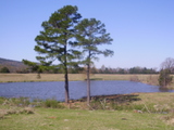 3 Revenue Ranch - rdb