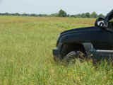 Keota Premier Grass Ranch /rdb