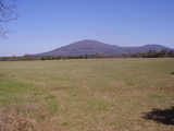 Monroe Ranch - rdb