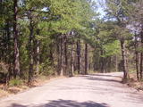 Arkansas Border 316 - rdb