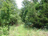 746 Hunting Ranch