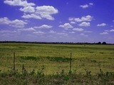 Bryan County Bermuda Ranch