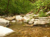 Searcy County Hunting Retreat