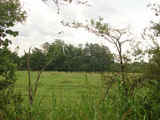 Brushy Creek Ranch