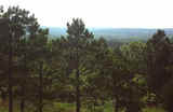 Pittsburg County Hunting