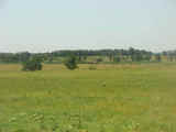 Butler Creek Ranch