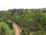Oklahoma Timber Land Investment Property - rdb
