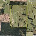 Premier Bryan County Grasses - rdb