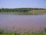 Mt. View Hunting & Fishing - rdb