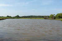 One of the six ponds