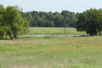 Pasture and pond