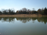 Lehigh 160 - Whitetail Heaven rh